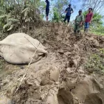 Gajah jinak CRU Aceh Timur mati diserang kawanan gajah liar