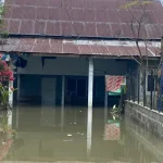 Banjir rendam pemukiman warga di Pidie