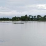 Ratusan hektare tambak terkena banjir, petani Pidie Jaya merugi Rp19 miliar