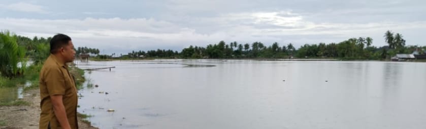 Ratusan hektare tambak terkena banjir, petani Pidie Jaya merugi Rp19 miliar