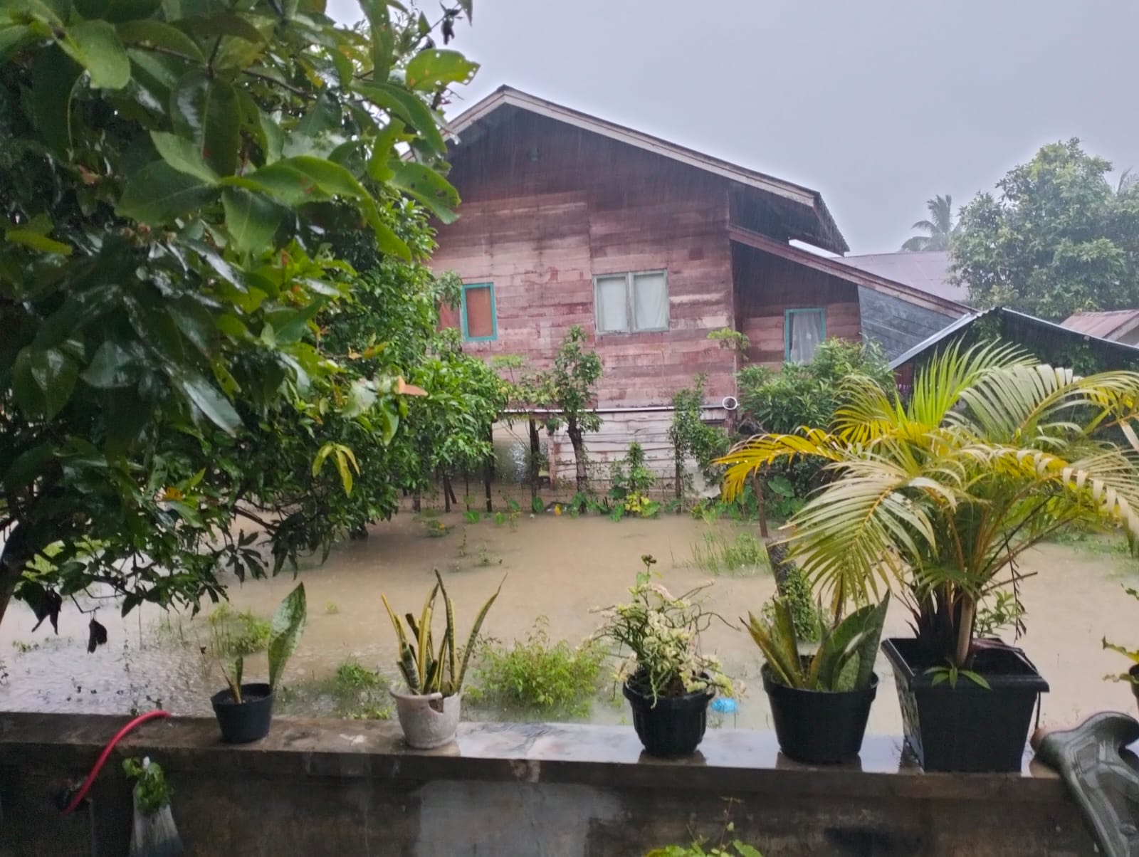 BPBA: 47 desa di Bireuen terendam banjir