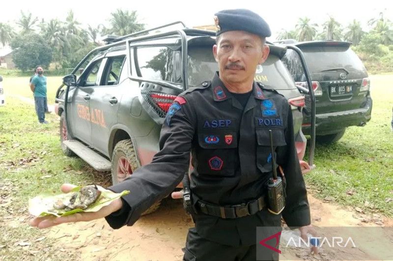 Petani Aceh Tamiang temukan granat saat menggali lubang, diduga milik TNI