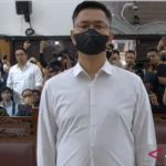 Irfan Widyanto divonis 10 bulan penjara