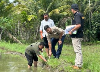 Ketua MS Jantho turun langsung eksekusi sengketa warisan