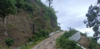 Pembangunan Jalan Kutacane-Langkat dinilai picu ilegal loging