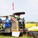 Pidie wakili Aceh program nasional Gerakan Panen Padi Nusantara 1 juta hektar