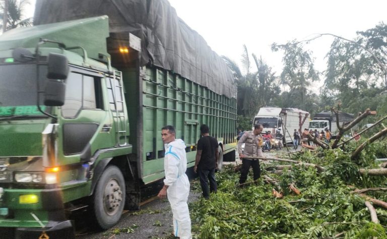 12 rumah warga Seulimum di Aceh Besar rusak akibat angin kencang