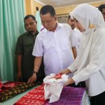 Pj Gubernur puji keindahan hasil kerajinan khas Aceh Singkil