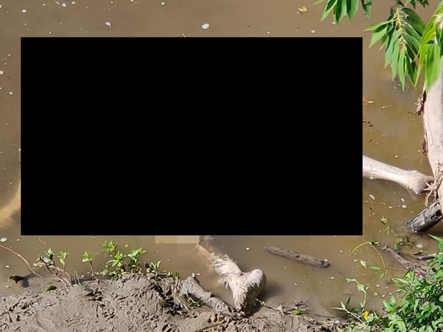 Mayat perempuan ditemukan terapung di Sungai Gampong Baro Pidie