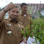Pj Bupati Aceh Besar ajak warga manfaatkan perkarangan rumah untuk tanam sayuran