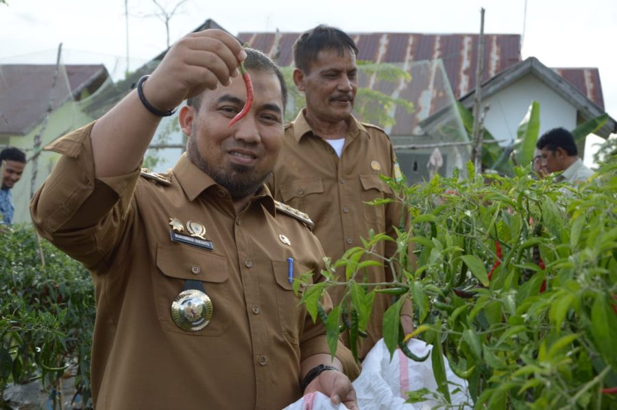 Pj Bupati Aceh Besar ajak warga manfaatkan perkarangan rumah untuk tanam sayuran