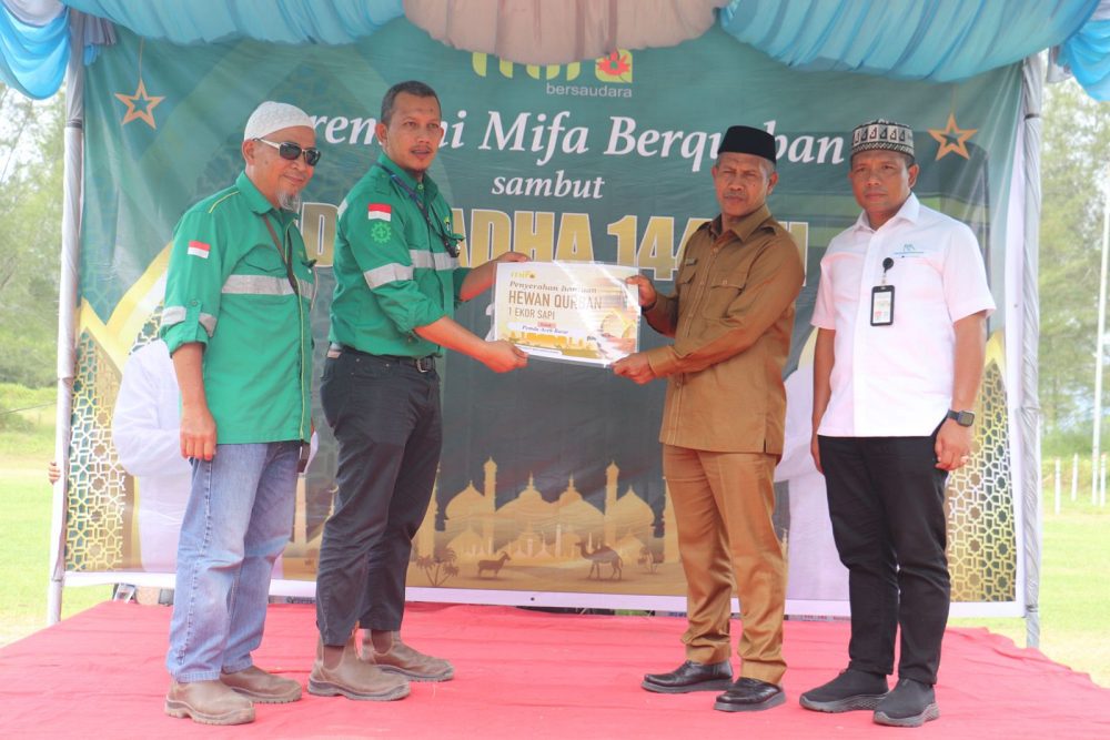 PT Mifa Bersudara tebar 80 ekor hewan kurban di Aceh Barat