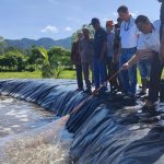 PT SBA dan warga Leupung panen udang vaname