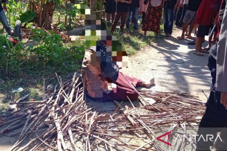 PDIP pecat bacaleg yang hamili anak kandung di NTB