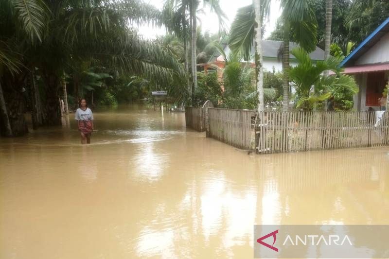 Tujuh desa di Aceh Barat terendam banjir setinggi 50 sentimeter
