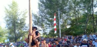 Lomba panjat pinang meriahkan HUT ke-78 RI di Gampong Meunasah Papeun