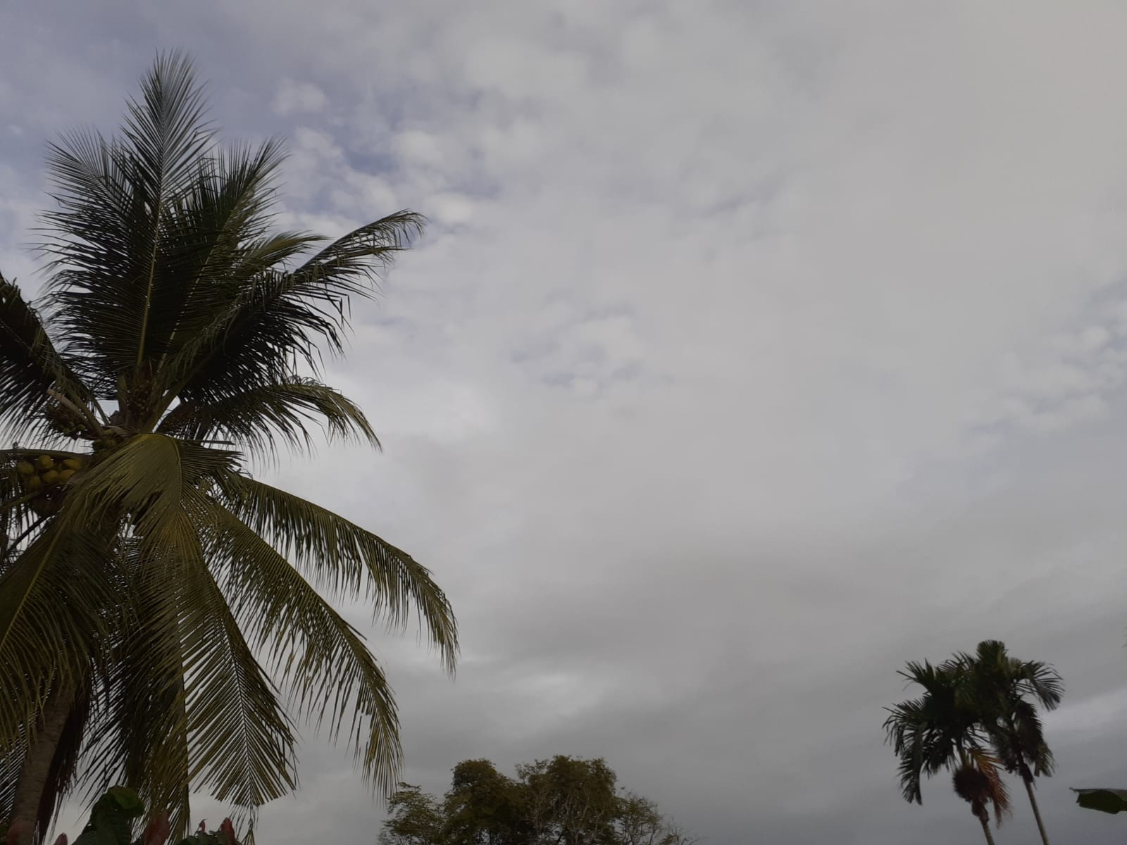 ibit siklon tropis, Banda Aceh berpotensi cerah berawan