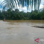 Jembatan gantung di Woyla Timur Aceh Barat ambruk