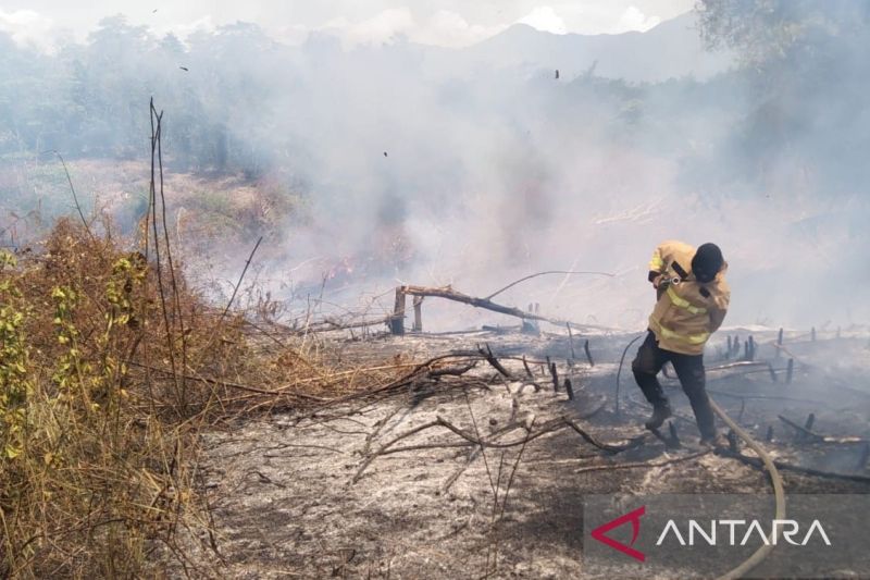Delapan hektar lahan terbakar di Aceh Besar berhasil dipadamkan