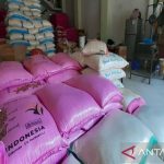 Harga beras di Banda Aceh naik