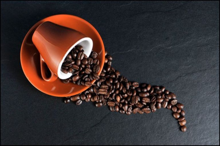 Mengenali perbedaan kopi arabika dan robusta
