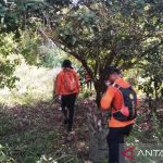 Warga Aceh Barat hilang 5 hari di kebun karet