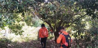 Warga Aceh Barat hilang 5 hari di kebun karet