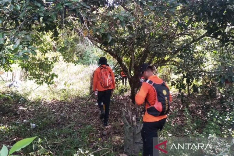 Warga Aceh Barat hilang 5 hari di kebun karet