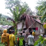 Sembilan rumah rusak tertimpa pohon di Sabang