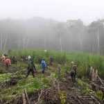 BNN kembali tegaskan tolak wacana DPR Aceh legalisasi ganja untuk medis