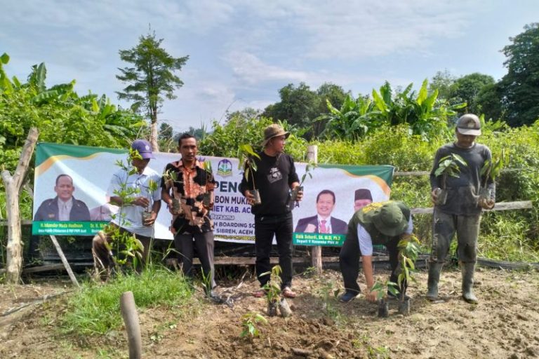 Aceh Jaya peroleh 2.500 bibit durian musang king