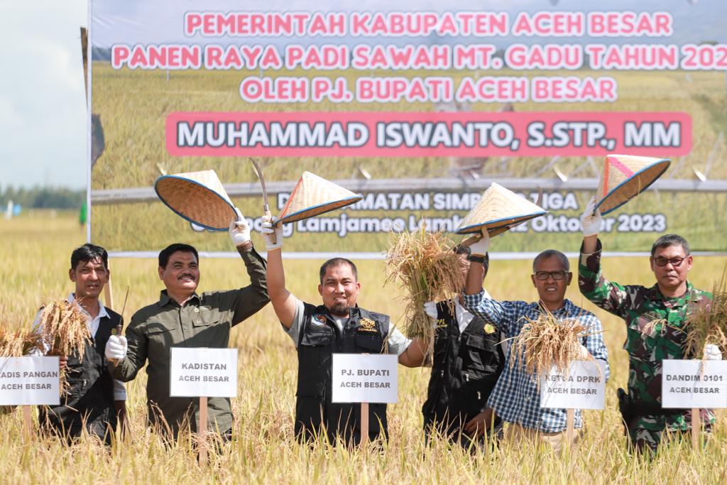 Pj Bupati panen padi MT Gadu di Simpang Tiga Aceh Besar