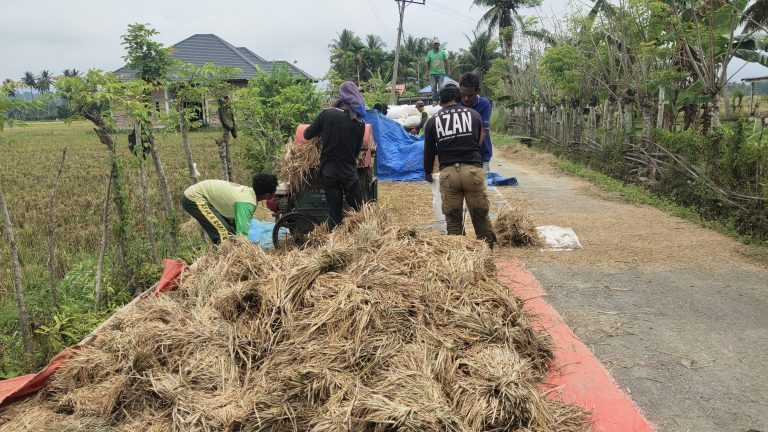 Distanbun Aceh optimis target produksi 1,7 ton padi tercapai 2024