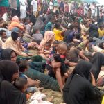 Ratusan Imigran Rohingya mendarat di Pidie