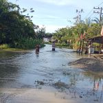 Banjir rendam tujuh gampong di Tripa Makmur