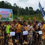 Pidie ditargetkan jadi daerah penghasil jagung terbesar di Aceh