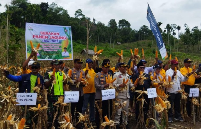 Pidie ditargetkan jadi daerah penghasil jagung terbesar di Aceh