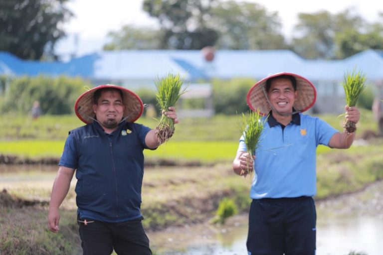 Pj Bupati Aceh Besar tanam padi serentak di Blang Bintang