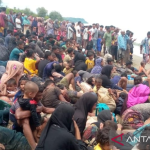 Ratusan pengungsi Rohingya kembali mendarat di Pidie