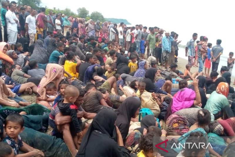 Ratusan pengungsi Rohingya kembali mendarat di Pidie