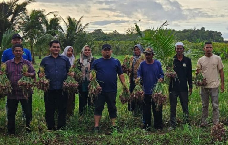 Pj Bupati : Poktan Bawang Merah Kreasi Baru di Lhoong layak jadi contoh