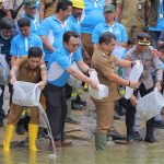 Peringati Quarry Day 2023, PT SBA tanam manggrove dan lepas bibit ikan di Krueng Raba