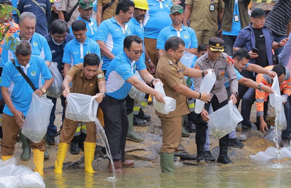 Peringati Quarry Day 2023, PT SBA tanam manggrove dan lepas bibit ikan di Krueng Raba
