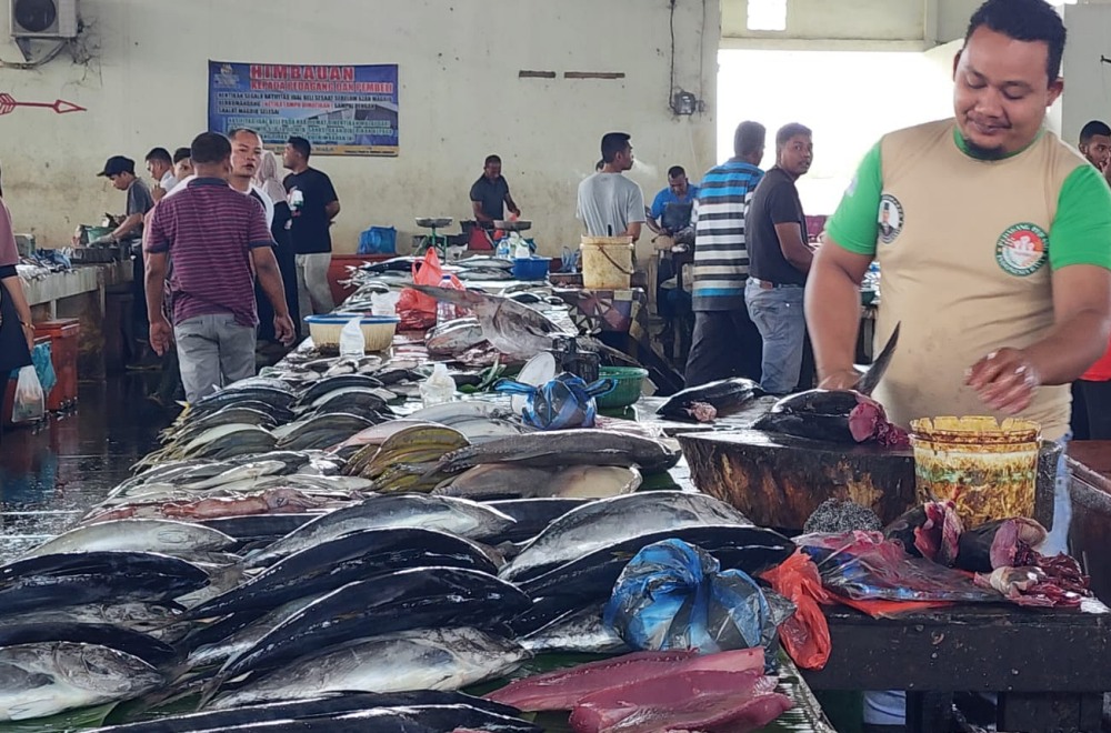 Ikan tongkol melimpah di Banda Aceh, harga anjlok hingga Rp3 ribu per kilogram