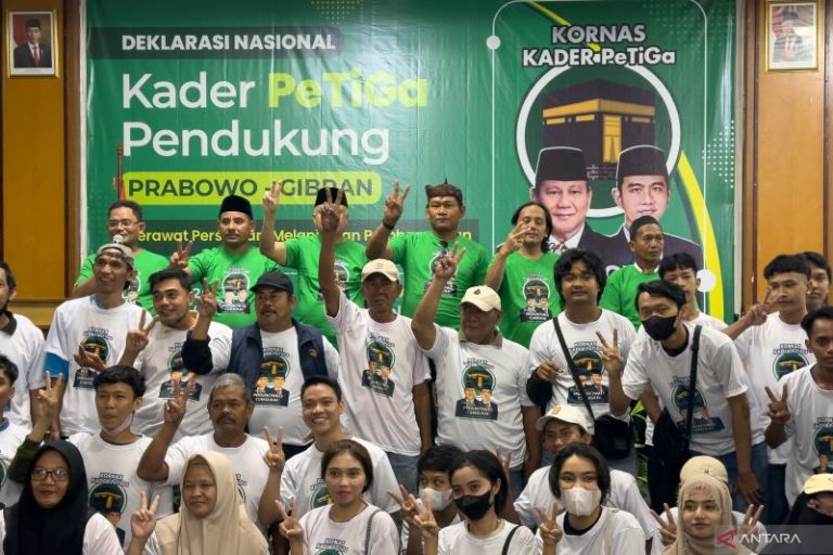 Dukung Prabowo-Gibran, PPP pecat kadernya