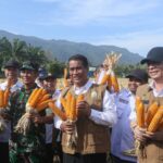 Panen di Aceh Besar, Mentan optimis Indonesia bisa ekspor jagung
