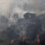 Korban tewas kebakaran Chile bertambah 99 orang