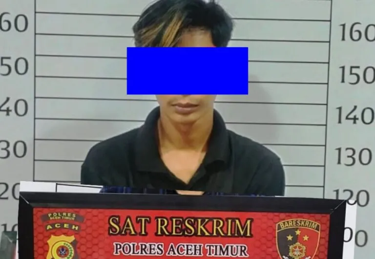 Bawa kabur gadis belia, pemuda Aceh Timur ditangkap polisi