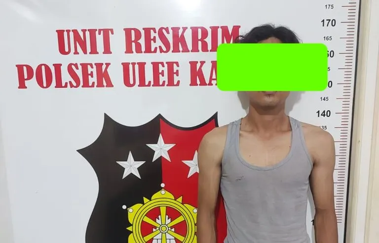 Dipecat sebagai karyawan, JA tikam warga Aceh Timur tiga kali