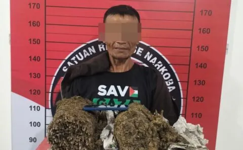 Bawa dua bal ganja, warga Aceh Timur ditangkap Polres Aceh Utara